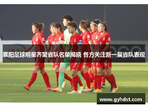 襄阳足球明星齐聚省队名单揭晓 各方关注新一届省队表现