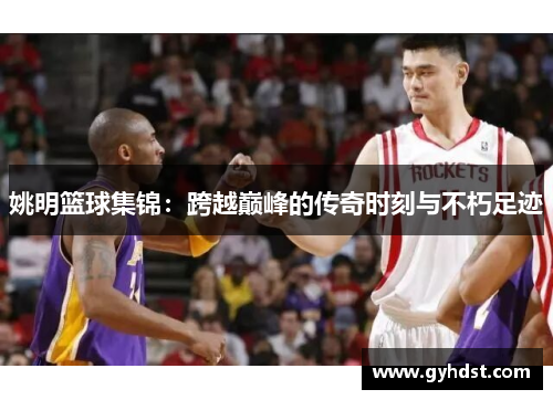 姚明篮球集锦：跨越巅峰的传奇时刻与不朽足迹