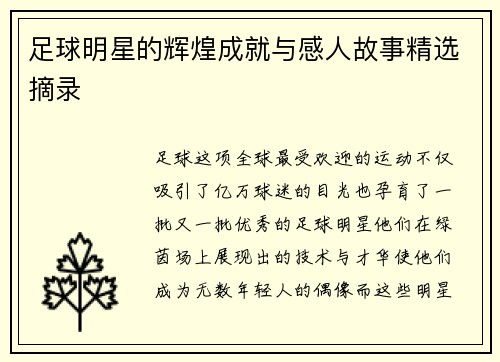 足球明星的辉煌成就与感人故事精选摘录