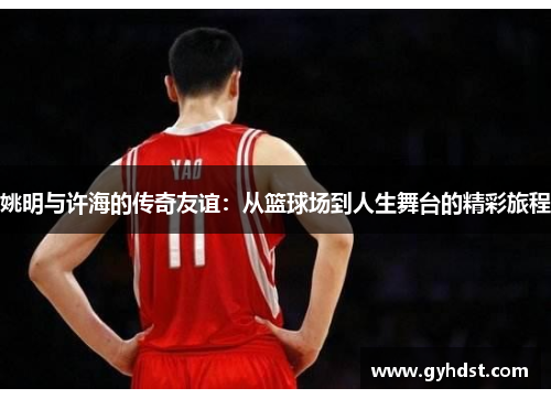 姚明与许海的传奇友谊：从篮球场到人生舞台的精彩旅程
